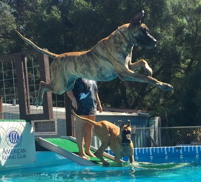 Baby Face and Blondie