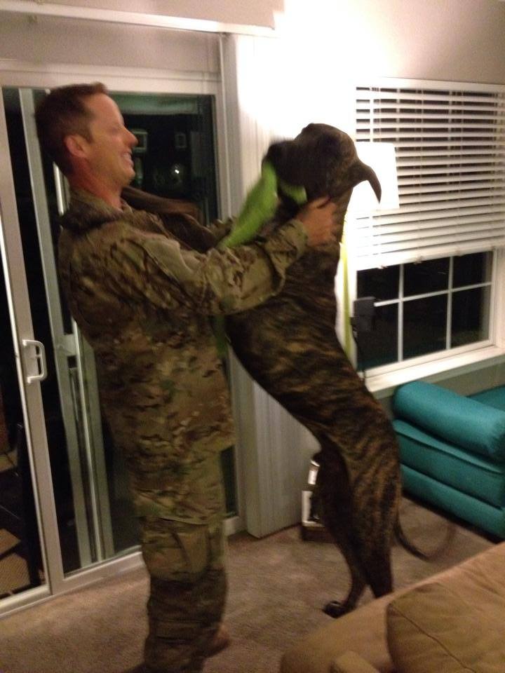 Rob comes home from the middle east