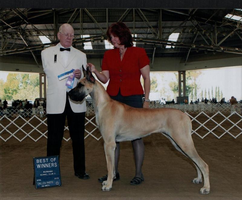 Spice Best of Winners