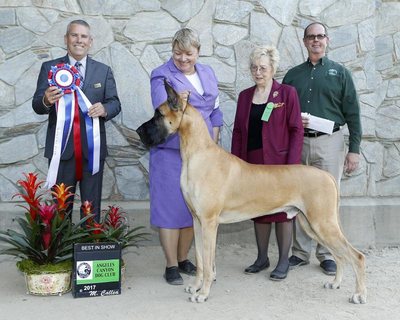 Zephyr is Best in Show